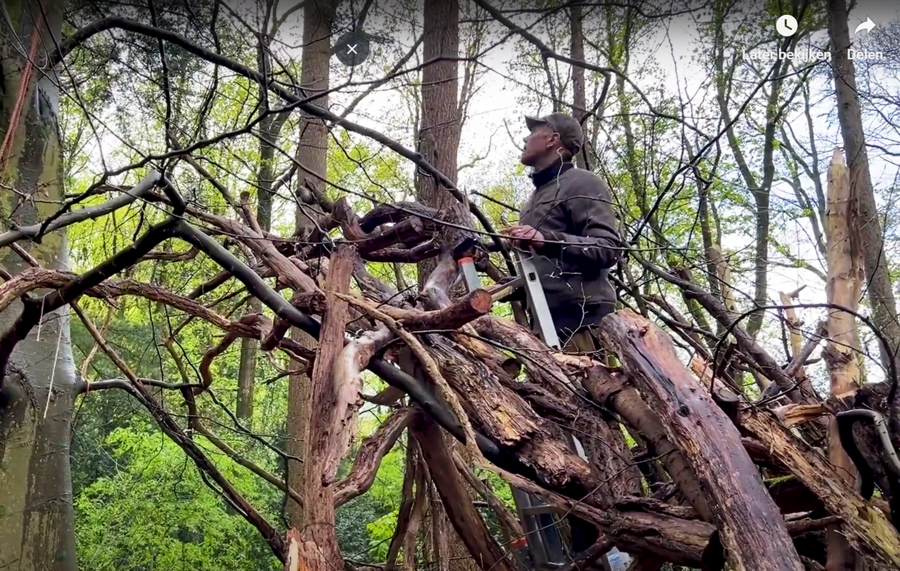 Kunstenaar Izaak Zwartjes op PaltzBiënnale Soest